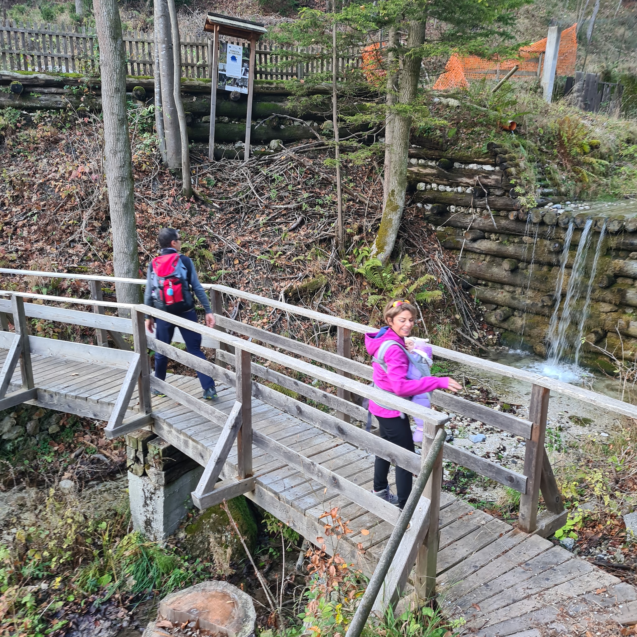 L’Anello del Monte Borgo: Percorso con Larici Dorati e Panorami Mozzafiato