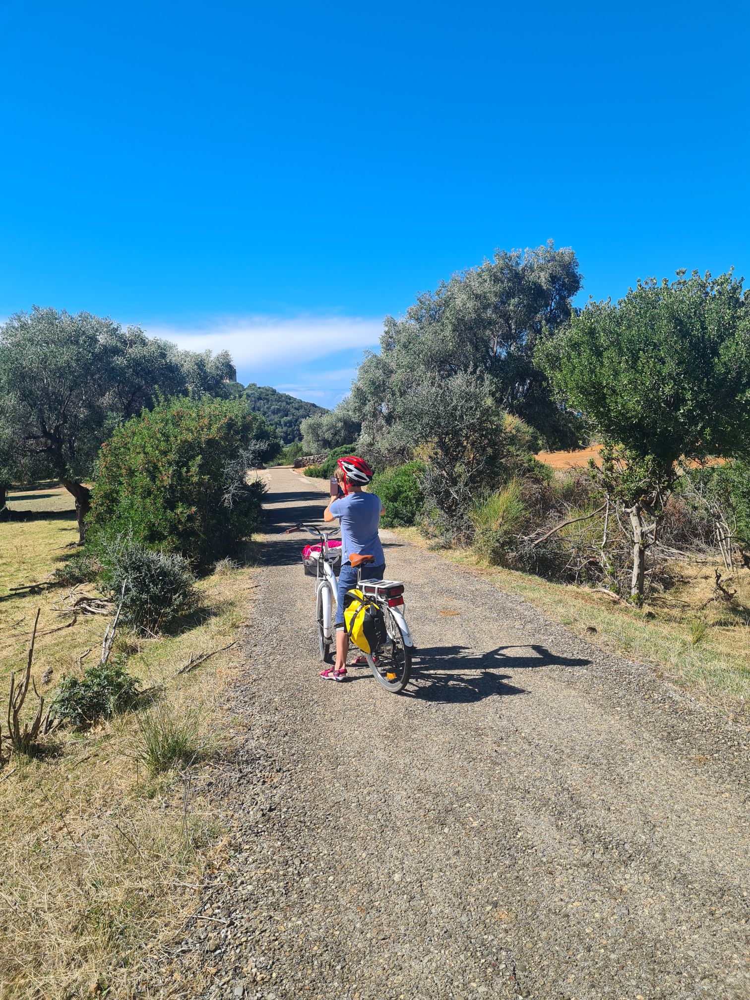 Guida al Parco della Maremma in Bici: Cosa Vedere
